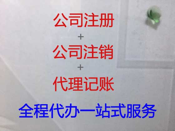 东莞代理记账服务-财税代理服务